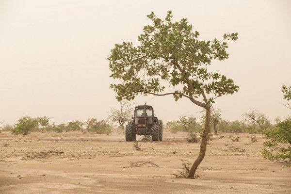 A variety of restoration approaches will be required to bring the Great Green Wall initiative to an effective scale and create a great mosaic of green and productive landscapes.<br />Photo: © FAO/Giulio Napolitano
