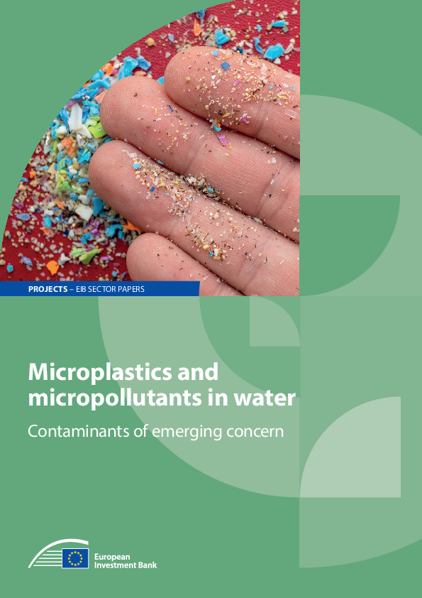 What Is Glitter? Overview of Microplastic Pollution