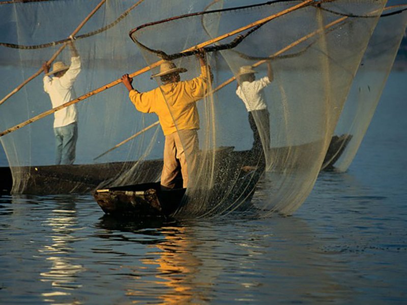 Boosting transdisciplinary research for small-scale fisheries