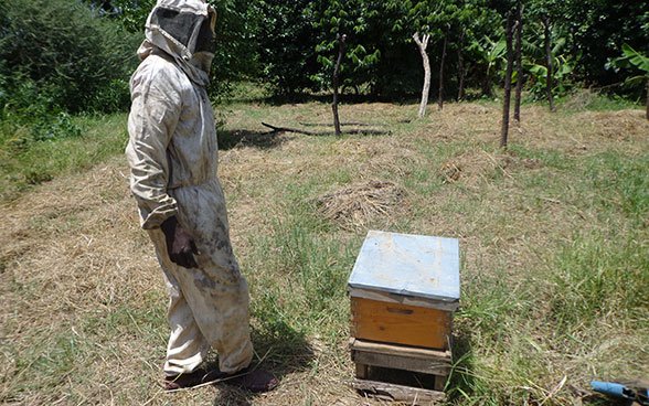 Un apiculteur en tenue correcte à côté d’une ruche, dans la province du Darfour, au Soudan du Sud.