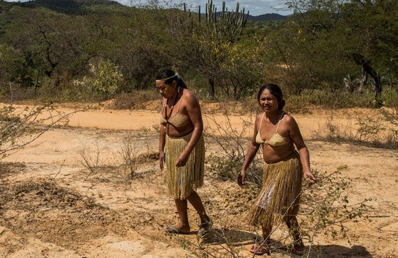 Kiriri women walk through their ancestral land, Bahia, Brazil (2016). In 1995, after years of fighting for their rights, the Kiriri indigenous people took back their ancestral land.