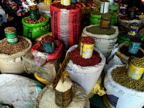 Smallholder farmers play an important role in growing pulses.