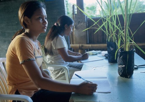 Two young women sitting at a table with rice plants in front of them.
