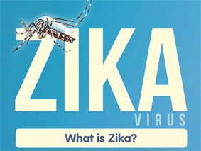 The rapid development of a safe and effective ZIKV vaccine is a global health priority.