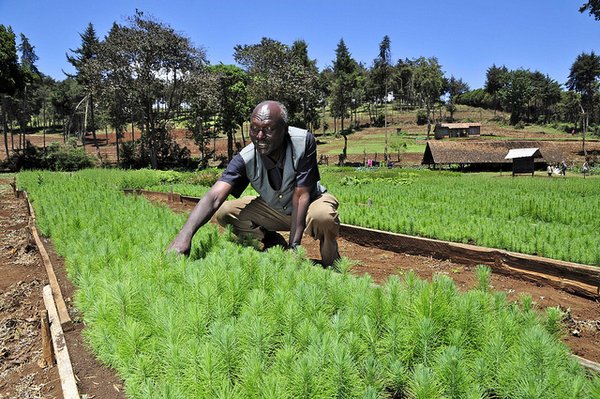 The Adaptation Fund is to finance coastal protection and a switch to new farming methods