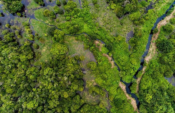 Indonesia is still the holder of the deepest peat areas. Here on the island of Kalimantan Tengah, Indonesia. <br/> Photo: Nanang Sujana/CIFOR