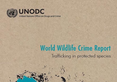 world-wildlife-crime-report-2020