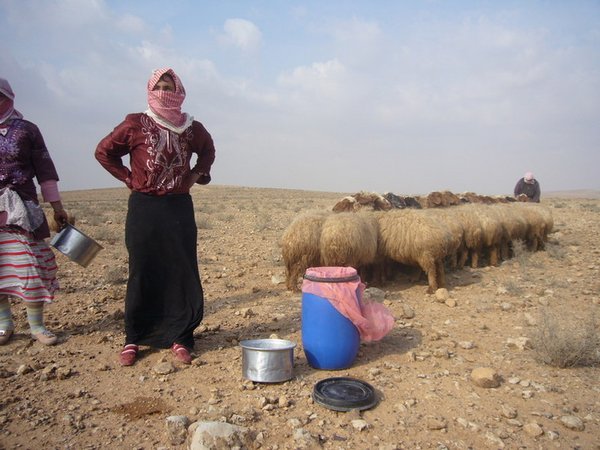 Women herders on rangeland, Hama province, Syria.©