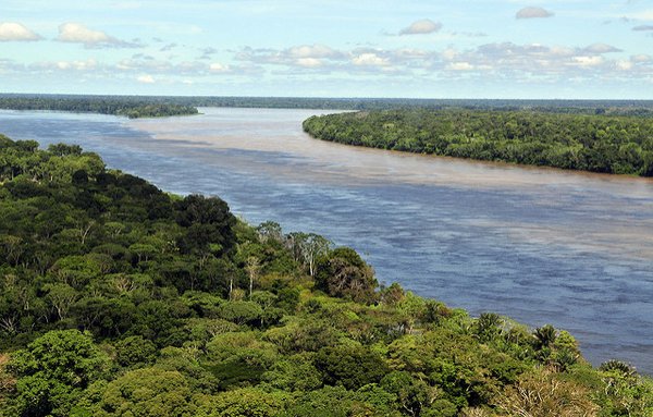 The Amazon Rainforest, Brazilian state of Amazonas. <br/> Photo: © Neil Palmer (CIAT)
