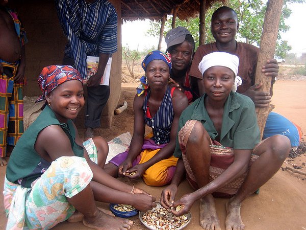 Through the Cashew Initiative the trained smallholders could raise their income by 120 USD per year. <br/>Photo: Erik Cleves Kristensen (flickr)