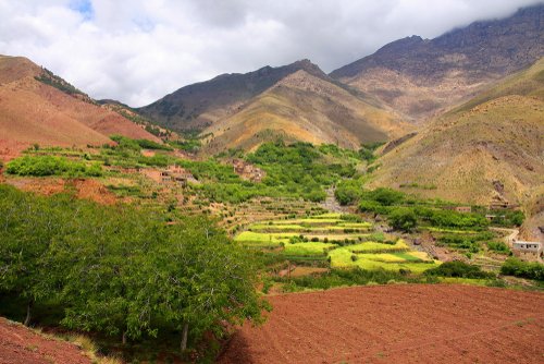 Terres vertes et fertiles du Maroc.
