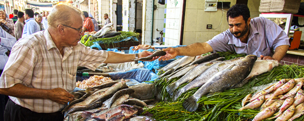 Egypt has an important aquaculture sector. <br/>Photo: © FishConsult