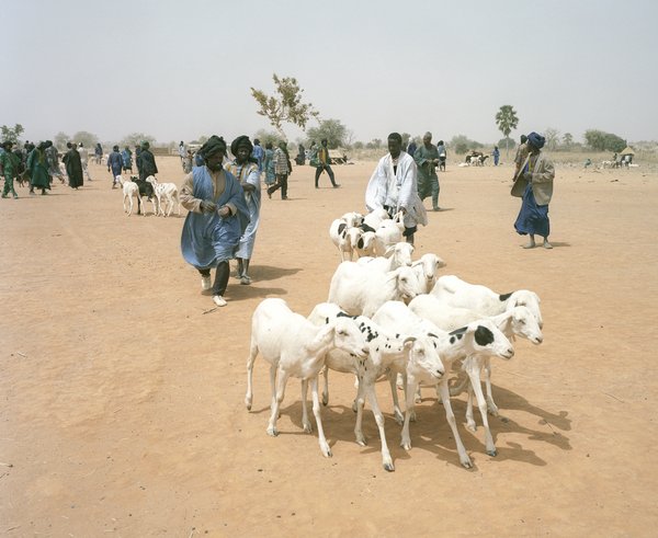 Conflicts between different herders in access to pastures and water holes  have to be carefully handled. <br/> Photo: Helvetas