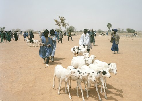 Conflicts between different herders in access to pastures and water holes  have to be carefully handled. <br/> Photo: Helvetas
