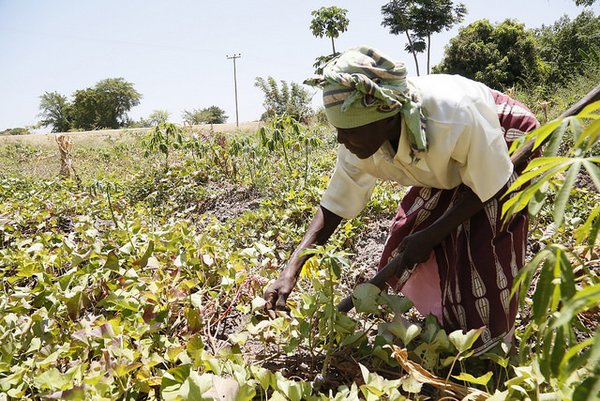 Petits exploitants agricoles en Tanzanie. La plateforme PPP a été introduite fin 2015 et opère actuellement en Tanzanie, au Rwanda et en Zambie.<br/>Photo: Russell Watkins/ DFID (flickr)