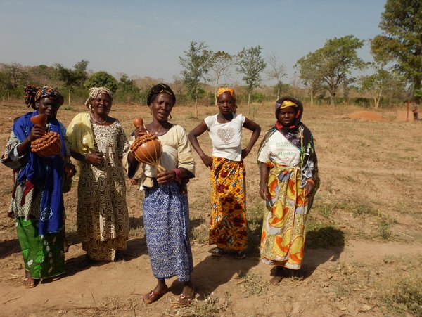 Des mangues biologiques sont cultivées au Mali. Un PPP a été établi avec Morgenland en 2017 afin de commercialiser les mangues en Allemagne. <br/> Photo: GIZ/Sven Bermig