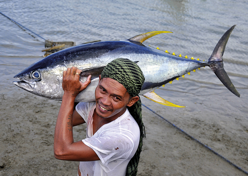 Towards sustainable tuna fisheries in the Philippines